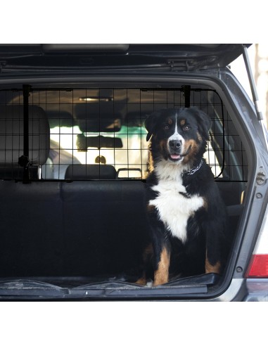 Dog car deals barrier metal