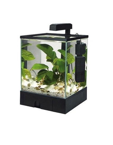 Fish r fun tank best sale