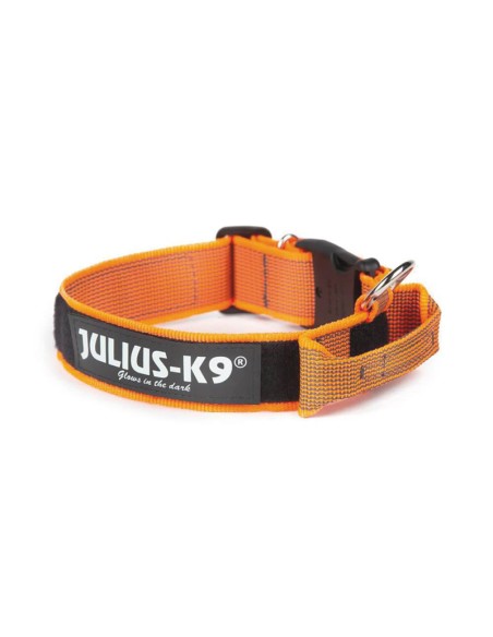 Collare per cani con maniglia Julius-K9 Color & Gray - Julius K9