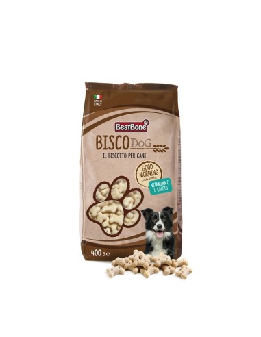 is cashew milk ok for dogs