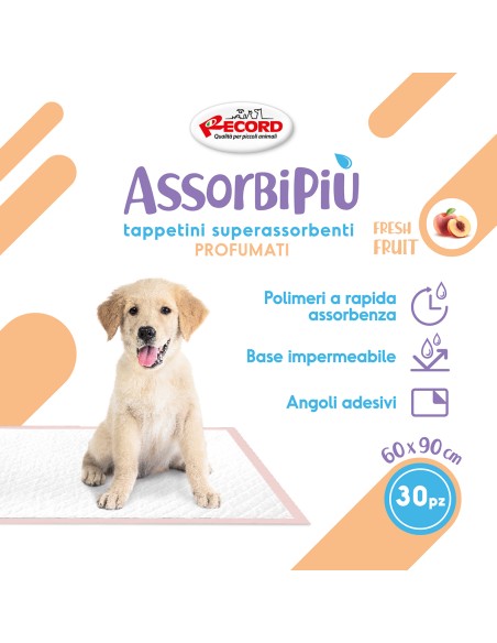 Tappeti Assorbenti PET - Ramedical