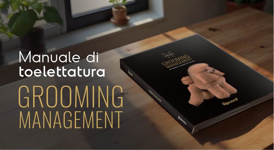 Attrezzature per grooming