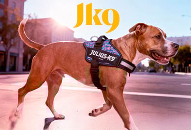 Julius K9 rivenditore